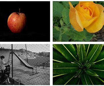 concursoaspaug-ugto-ug-