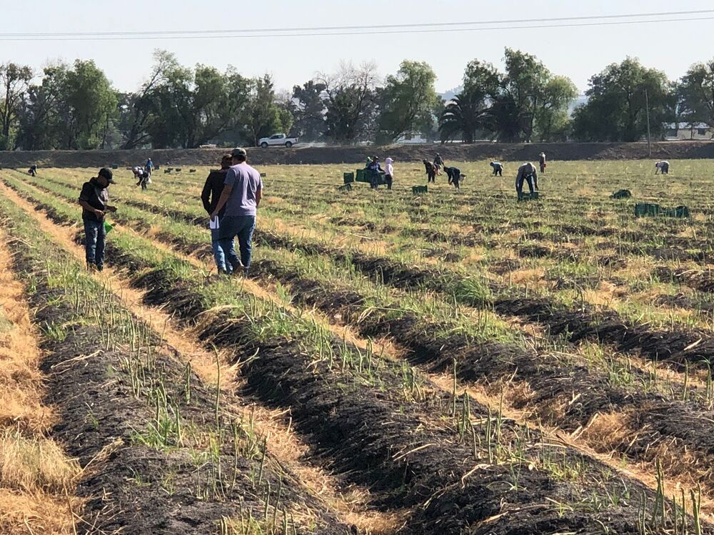 ninas en la ciencia 01