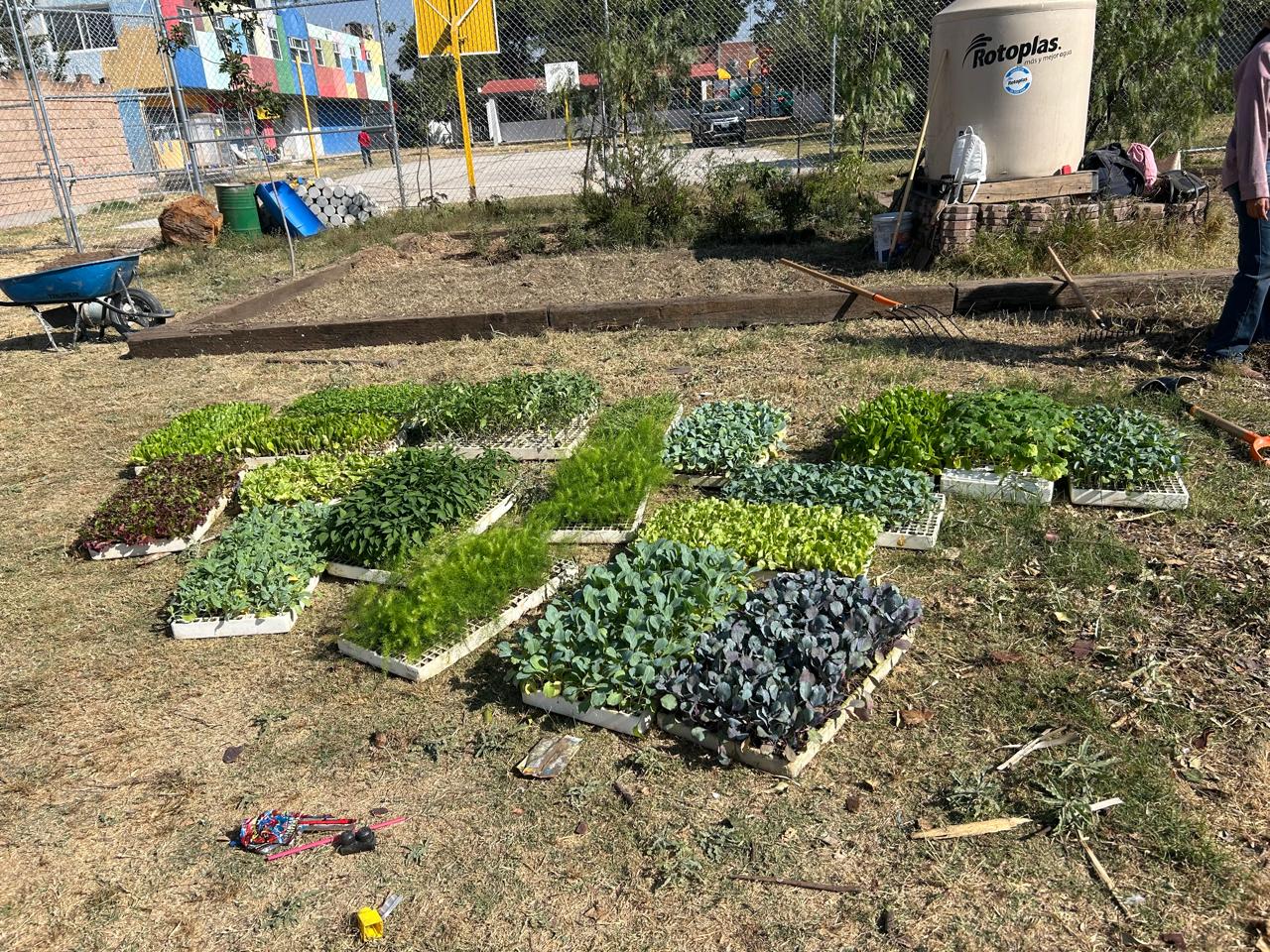 huertos escolares comunitarios ug 6